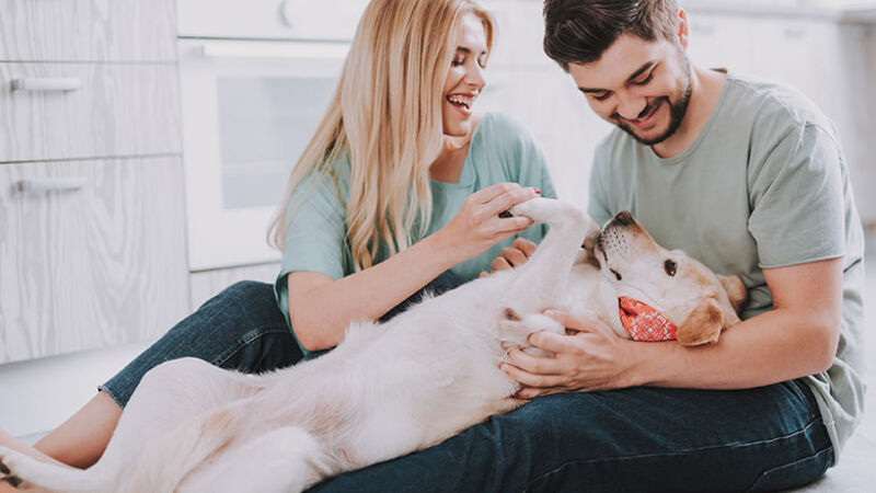 I cani preferiscono le donne agli uomini