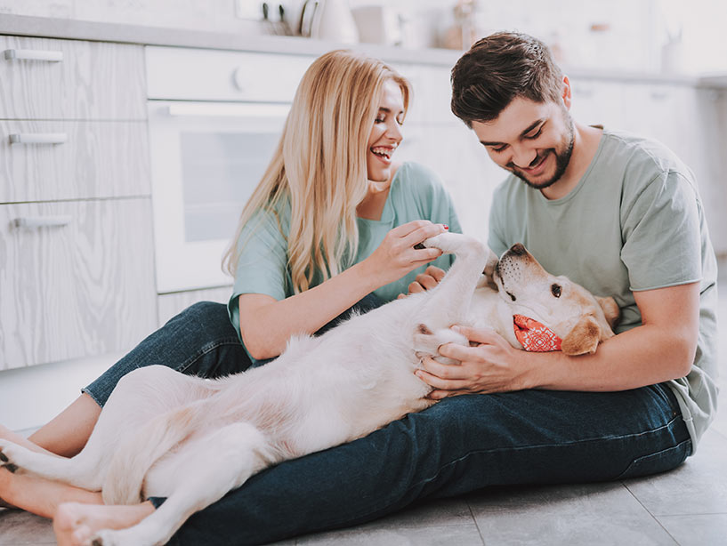 I cani preferiscono le donne agli uomini