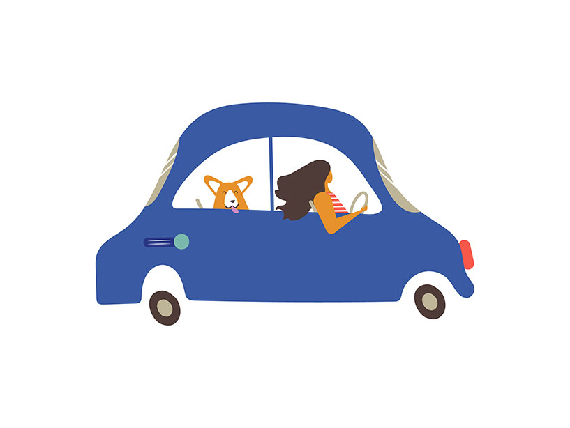 La socializzazione è fondamentale per la vita del cane