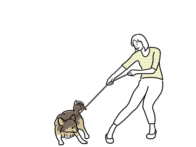 I cani non devono essere strattonati, tirati nè trascinati