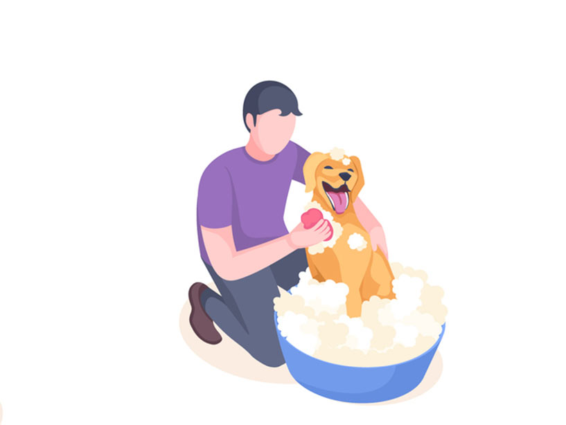 Quali sono le cose che i cani devono saper fare