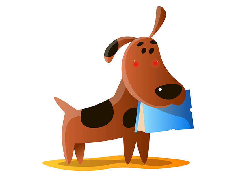 Come lasciare il cane da solo a lungo