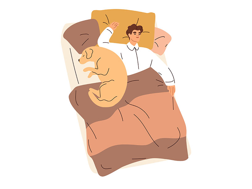 Dormire con il cane sul letto fa bene