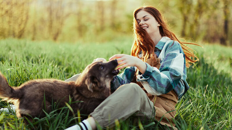 Cosa ci si può aspettare dalla vita con il Cane