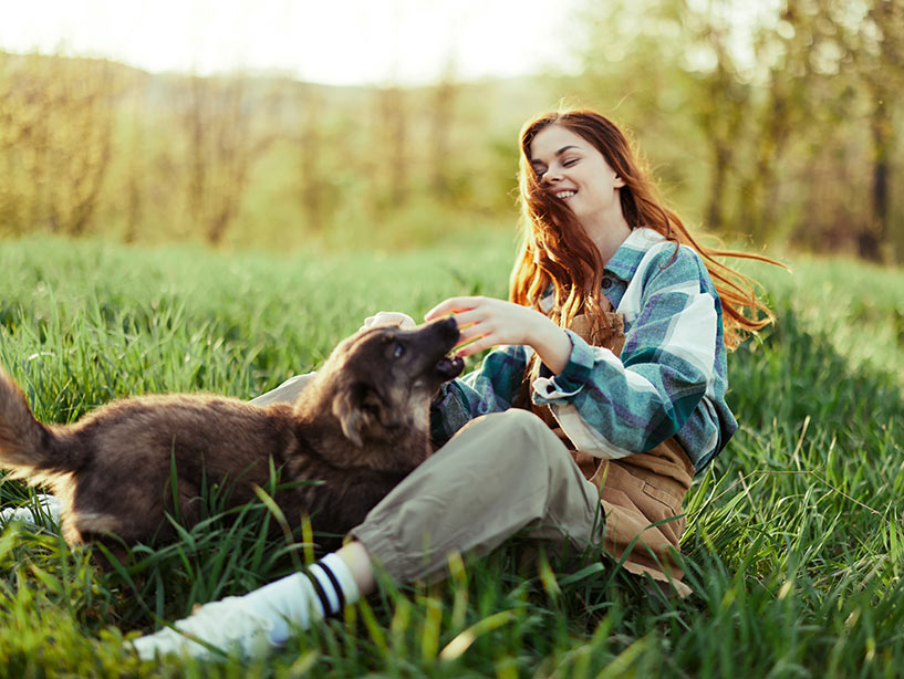 Cosa ci si può aspettare dalla vita con il Cane