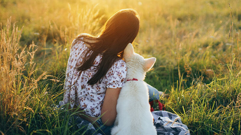 Perchè i cani sono come i bambini (ma non sono bambini)