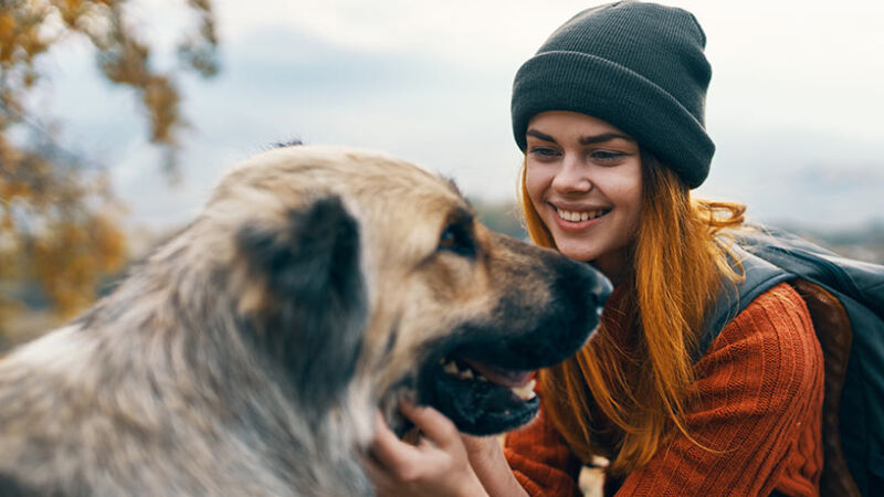 Il cane ha paura delle persone: cosa fare