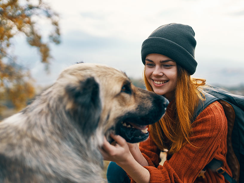 Il cane ha paura delle persone: cosa fare