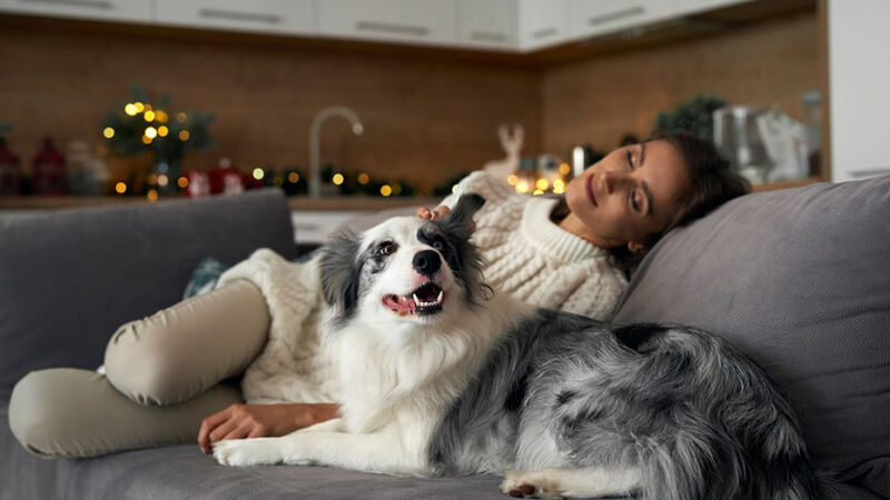 L’ansia da separazione dal cane