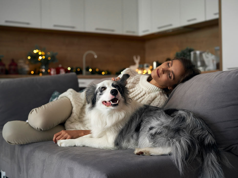 L’ansia da separazione dal cane
