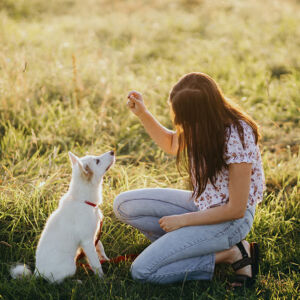 Il segreto della felicità del tuo Cane sei Tu