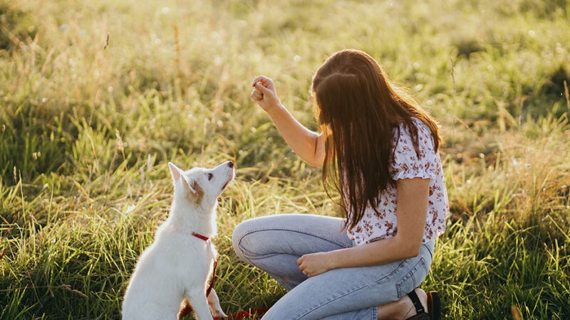 Il segreto della felicità del tuo Cane sei Tu