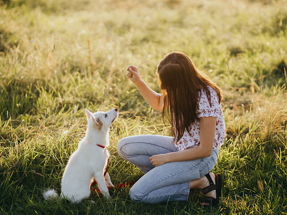 Il segreto della felicità del tuo Cane sei Tu