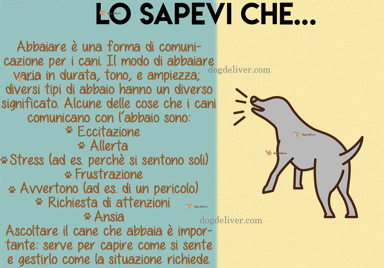 Perchè i cani abbaiano? Dogdeliver