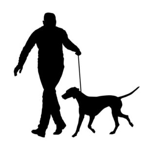 Cani: la coercizione è come una pistola puntata