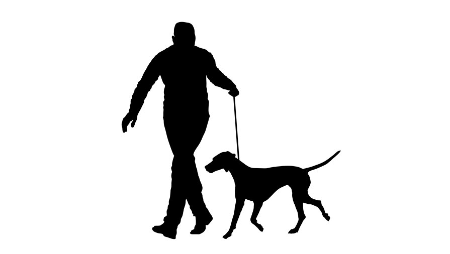 Cani: la coercizione è come una pistola puntata