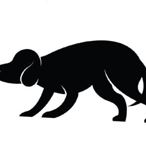 Non serve la violenza fisica per maltrattare il Cane