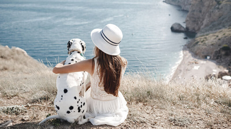 Perchè è importare dare al cane il senso di essere in controllo