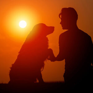 Come avere una relazione speciale con il cane
