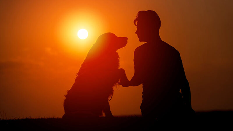 Come avere una relazione speciale con il cane