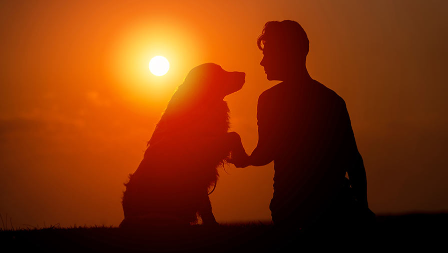 Come avere una relazione speciale con il cane