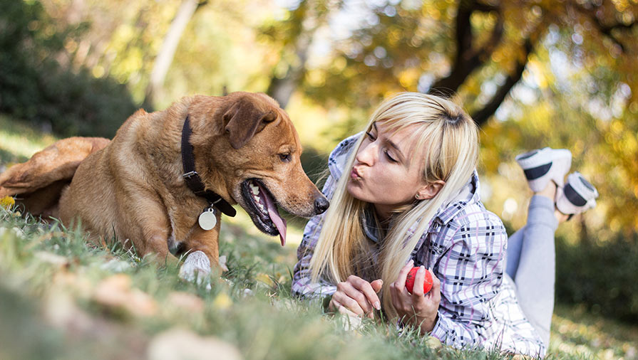 Quando si parla con il cane conta anche il tono che si usa