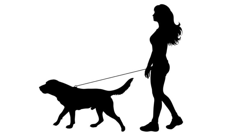 Lo sapevi che: I cani preferiscono le donne