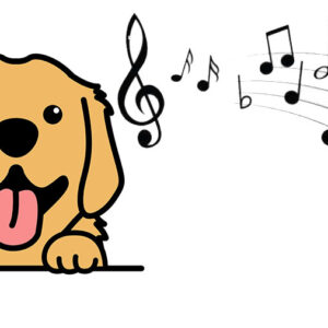 Lo sapevi che: I cani sono sensibili alla musica