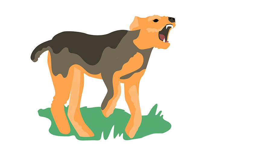Lo sapevi che: I cani si stressano