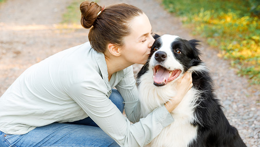Cani: come evitare problemi di comportamento e vivere bene insieme