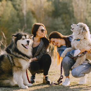 I fondamentali della vita felice con il cane