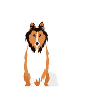 Lo sapevi che: Il cane perfetto non esiste