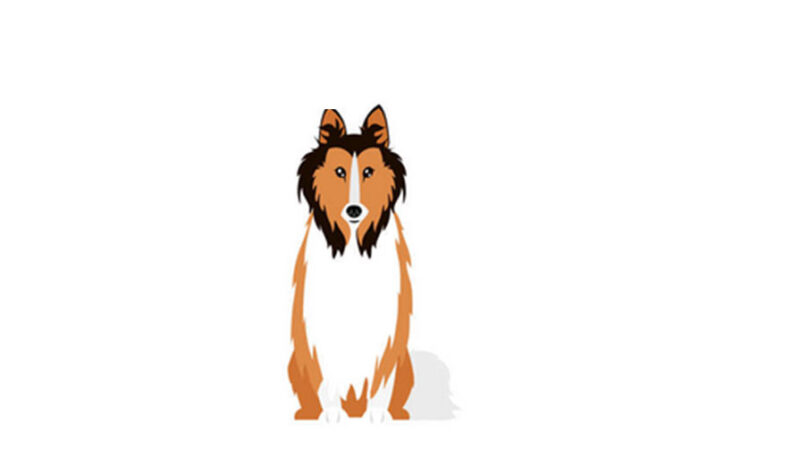 Lo sapevi che: Il cane perfetto non esiste