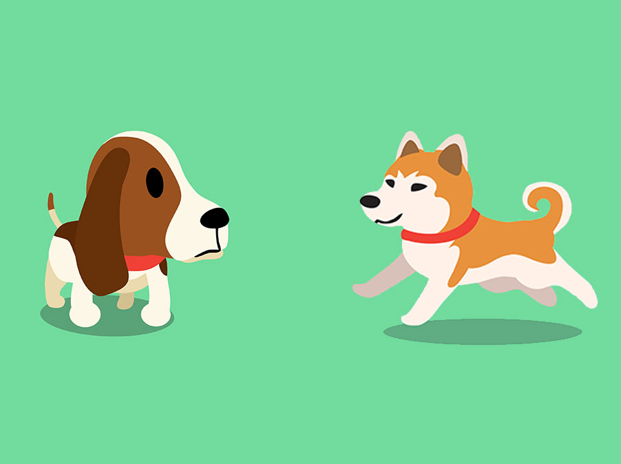 L’influenza di dopamina e cortisolo sui comportamenti del Cane