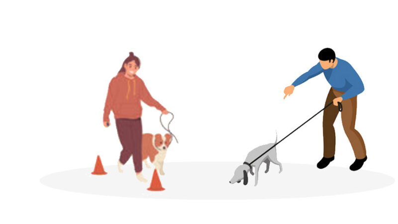 Qual è il metodo migliore per educare il Cane