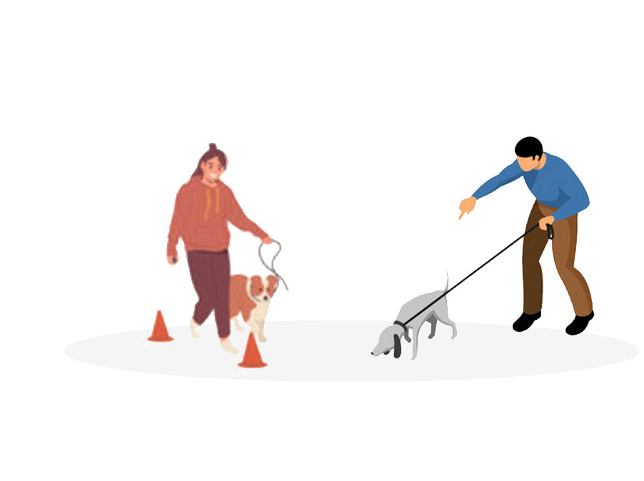 Qual è il metodo migliore per educare il Cane