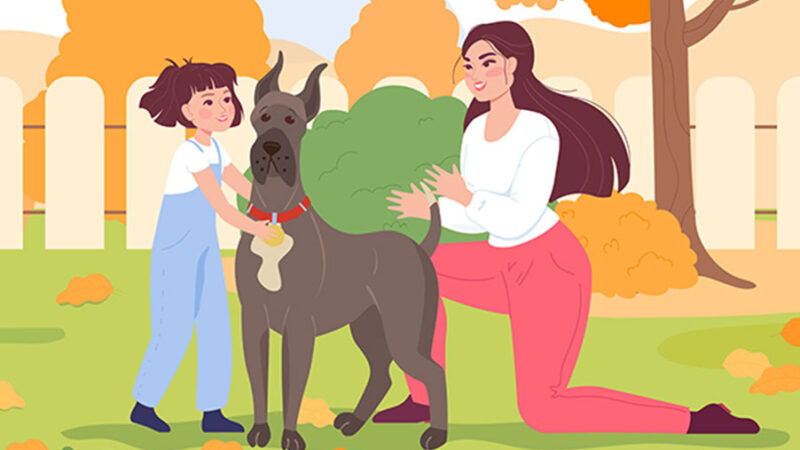 I Cani sono compagni di vita: la responsabilità dei proprietari