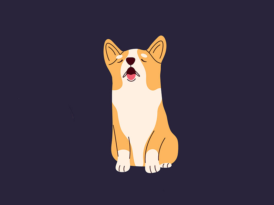 Per educare il Cane bisogna occuparsi dI come si sente