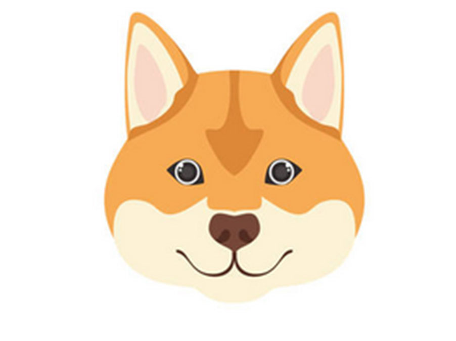 La vista dei Cani: le caratteristiche principali