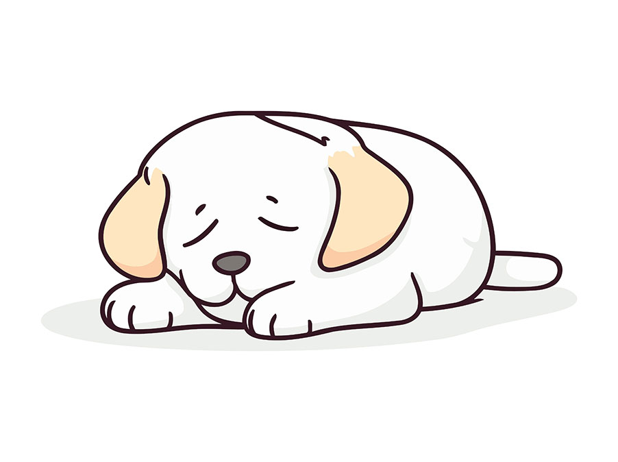 Cani: come il dolore influisce sul comportamento