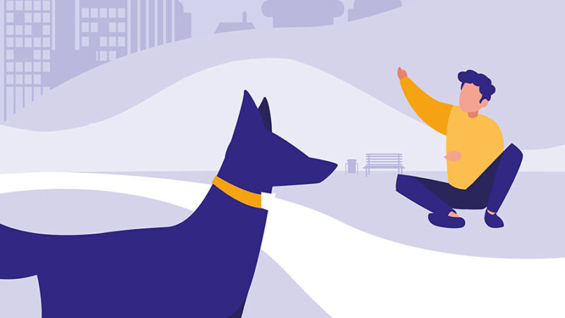 Come farsi ascoltare dal Cane: il segreto facilissimo