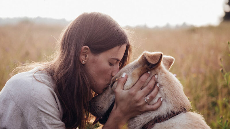 I Cani hanno bisogno di sicurezza emotiva, ecco cosa vuol dire