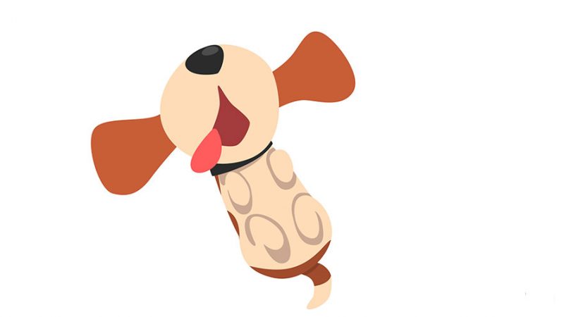Cosa serve per i Cani: alla fine non è molto