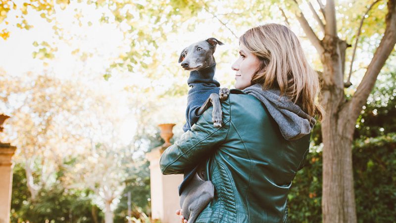 Si può tenere il Cane in braccio?