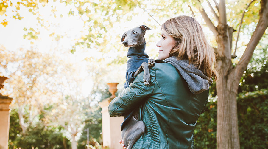 Si può tenere il Cane in braccio?