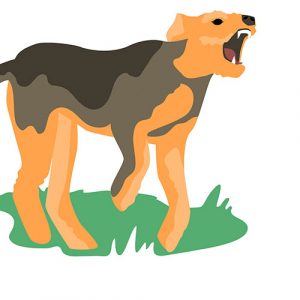 Come riconoscere e gestire il Cane reattivo