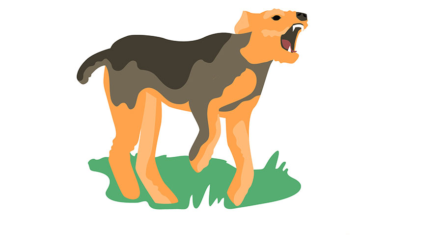 Come riconoscere e gestire il Cane reattivo