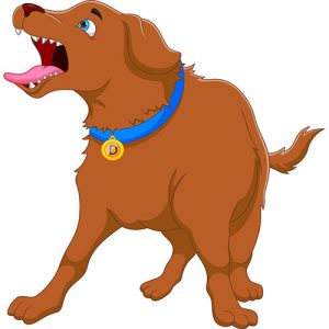 Quando il Cane sembra impazzito, probabilmente è perchè non ne può più