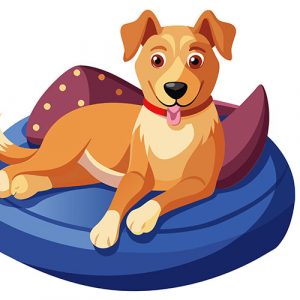 Lo stato mentale dei Cani è come un bicchiere che deve essere sempre pieno