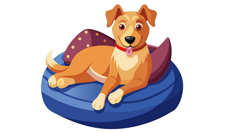 Lo stato mentale dei Cani è come un bicchiere che deve essere sempre pieno